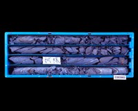 登錄號:C003983藏品圖，第1張