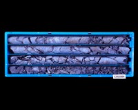 登錄號:C003984藏品圖，第1張