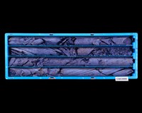 登錄號:C003990藏品圖，第1張