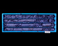 登錄號:C003993藏品圖，第1張