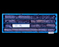 登錄號:C003998藏品圖，第1張