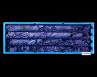 登錄號:C004000藏品圖，第1張