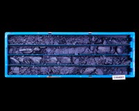 登錄號:C004001藏品圖，第1張