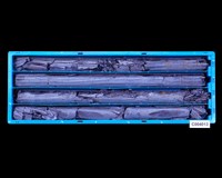 登錄號:C004013藏品圖，第1張