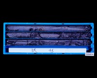 登錄號:C004014藏品圖，第1張