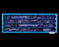 登錄號:C004024藏品圖，第1張