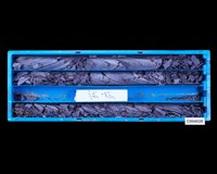 登錄號:C004028藏品圖，第1張