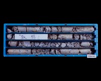 登錄號:C004161藏品圖，第1張