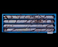 登錄號:C004166藏品圖，第1張