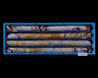 登錄號:C004167藏品圖，第1張