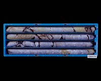 登錄號:C004170藏品圖，第1張