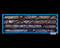 登錄號:C004183藏品圖，第1張