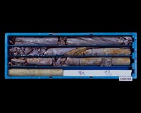 登錄號:C004184藏品圖，第1張