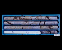 登錄號:C004196藏品圖，第2張