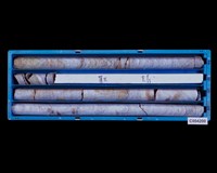 登錄號:C004200藏品圖，第1張