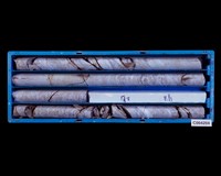 登錄號:C004204藏品圖，第2張