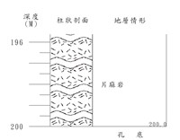 登錄號:C004208藏品圖，第2張