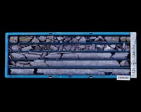 登錄號:C004252藏品圖，第1張