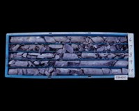 登錄號:C004253藏品圖，第1張