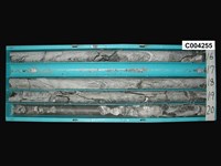 登錄號:C004255藏品圖，第1張