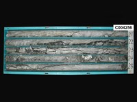 登錄號:C004256藏品圖，第1張