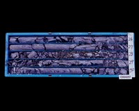 登錄號:C004257藏品圖，第2張