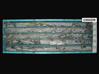 登錄號:C004258藏品圖，第1張