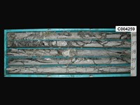 登錄號:C004259藏品圖，第1張