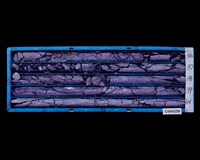 登錄號:C004259藏品圖，第2張