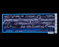 登錄號:C004260藏品圖，第2張