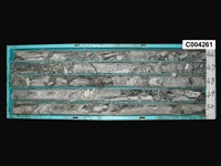 登錄號:C004261藏品圖，第1張