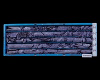 登錄號:C004261藏品圖，第2張