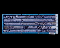 登錄號:C004262藏品圖，第2張