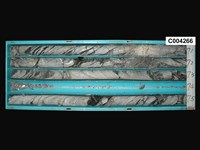 登錄號:C004266藏品圖，第1張