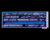 登錄號:C004266藏品圖，第2張