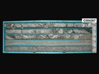 登錄號:C004267藏品圖，第1張