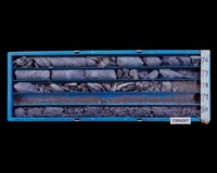 登錄號:C004267藏品圖，第2張