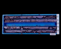 登錄號:C004270藏品圖，第1張