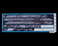 登錄號:C004272藏品圖，第2張