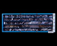 登錄號:C004273藏品圖，第2張