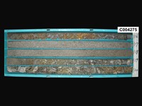 登錄號:C004275藏品圖，第1張