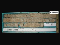 登錄號:C004336藏品圖，第1張