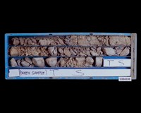 登錄號:C004336藏品圖，第3張