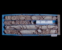 登錄號:C004338藏品圖，第2張