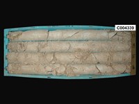 登錄號:C004339藏品圖，第1張