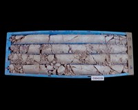 登錄號:C004339藏品圖，第2張