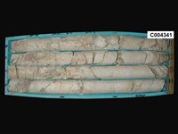 登錄號:C004341藏品圖，第1張