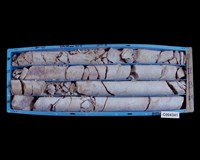 登錄號:C004341藏品圖，第2張