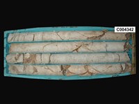 登錄號:C004342藏品圖，第3張