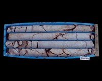 登錄號:C004342藏品圖，第1張